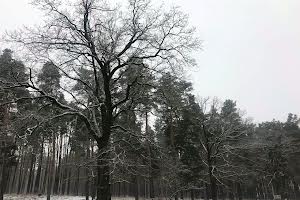 будинок за адресою Київ, Лінія 14-а вул.