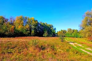 ділянка за адресою с. Клочків, Сновська