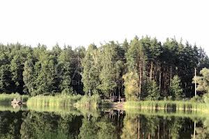 дом по адресу с. Дмитровка, Києво-Святошинський