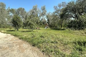 участок по адресу Мостовая ул., 63