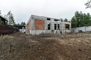 дом по адресу Вишгородський