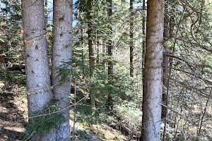 ділянка за адресою Івана Петраша вул.