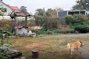 дом по адресу лесі українки
