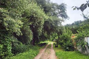 ділянка за адресою Наталії Кобринської вул.