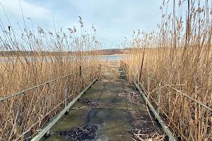 дом по адресу Заброди