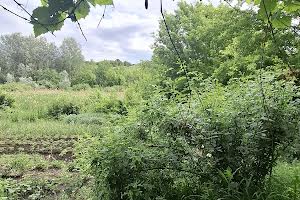 дом по адресу Запорізька
