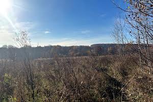 ділянка за адресою Урочище Боднарчик