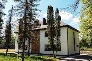 комерційна за адресою Житомир, Лісова, 1