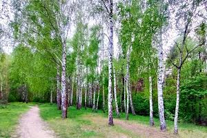 будинок за адресою Соснова