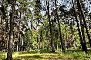 дом по адресу Зарічна