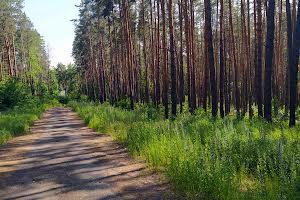 участок по адресу Лісова