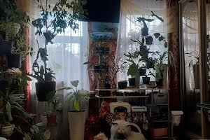 дом по адресу Начичеванский пер.