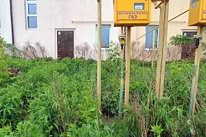 дом по адресу Соборна