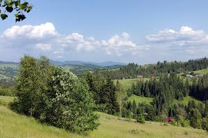 участок по адресу с. Яблоница, Горішків