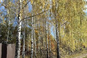 ділянка за адресою Вишгород, Пірново