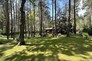 ділянка за адресою Лісова вул., 34