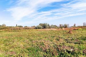 участок по адресу Борисоглібська, 9