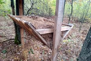 дом по адресу Соснова