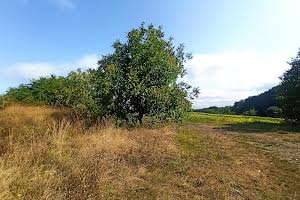 ділянка за адресою Корольова Ак. вул.