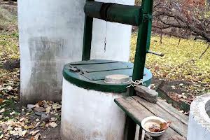 будинок за адресою смт. Яворницьке (Іларіонове), Садова