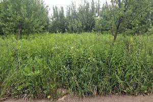 участок по адресу Хінчанка