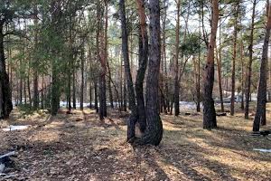 участок по адресу Озерная ул., 33