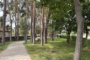 будинок за адресою Василя Стуса вул. (Пушкінська), 19-Б