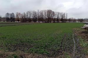 будинок за адресою Зелений провулок