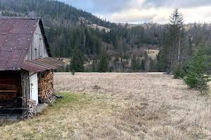 участок по адресу с. Микуличин, Стави