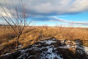 дом по адресу с. Долинское, шкільна