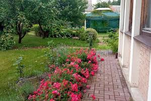 дом по адресу Центральна, 37