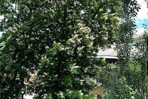 квартира за адресою Старопортофранківська вул., 105