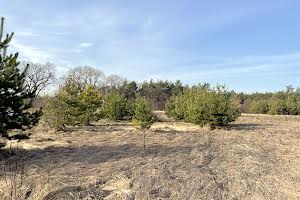 ділянка за адресою Лісова