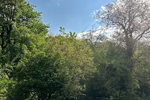 ділянка за адресою Львів, Хмельницького  вул.