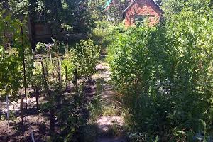 дом по адресу Василя стуса, 37а