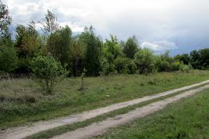 ділянка за адресою с. Забужжя, Січових Стрільців