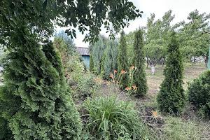 ділянка за адресою Дніпро, Кринична вул.