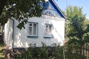 будинок за адресою Вільський Шлях вул., 105-А