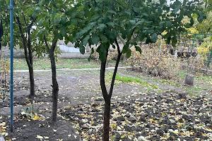 будинок за адресою Зоряна вул., 7