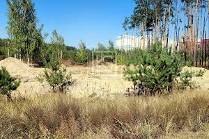 ділянка за адресою незалежності