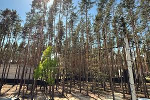 будинок за адресою Демидівська вул.