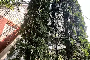 дом по адресу соснова 23, 23