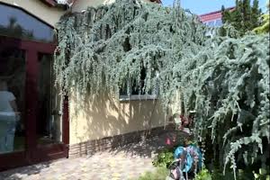 дом по адресу Соляна ул.