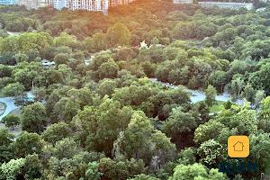 квартира по адресу Шевченко просп., 33
