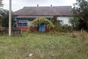 дом по адресу Шкільна, 19