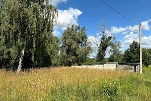 ділянка за адресою с-ще. Зелений Бір, 