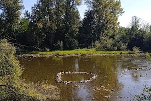 дом по адресу с. Ореховица, Дачний масив