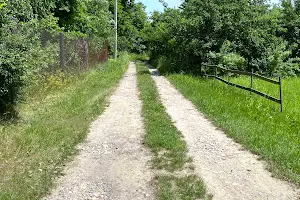 ділянка за адресою с. Угорники, Тисминецька
