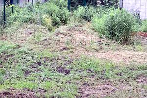 будинок за адресою Бориса Лятошинського вул. (1 Травня), 32є