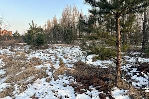 ділянка за адресою Васильківська, 22